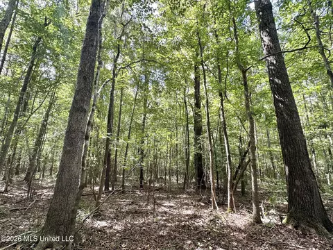 2 Clara Foote Rd, Braxton, MS 39044 photo 7