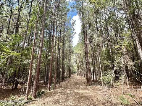 2 Clara Foote Rd, Braxton, MS 39044 photo 3