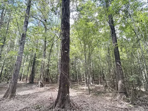 2 Clara Foote Rd, Braxton, MS 39044 photo 8