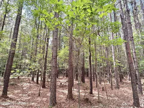 2 Clara Foote Rd, Braxton, MS 39044 photo 2