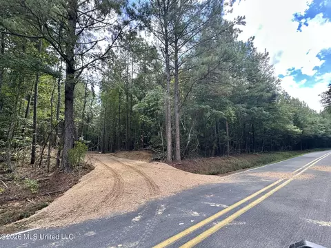 3 Clara Foote Rd, Braxton, MS 39044 photo 6
