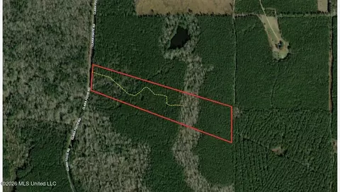 3 Clara Foote Rd, Braxton, MS 39044 photo 25