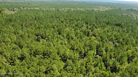 3 Clara Foote Rd, Braxton, MS 39044 photo 23