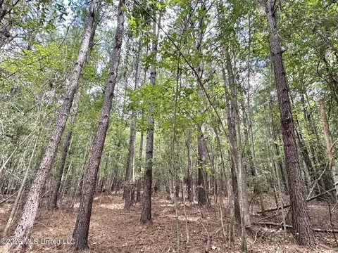 3 Clara Foote Rd, Braxton, MS 39044 photo 7
