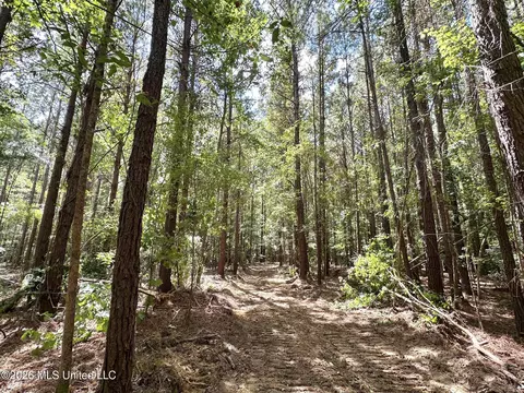 3 Clara Foote Rd, Braxton, MS 39044 photo 9