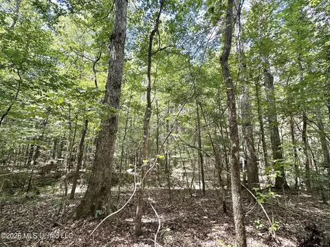 3 Clara Foote Rd, Braxton, MS 39044 photo 14