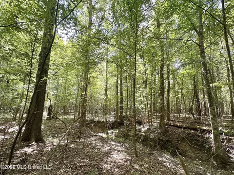 3 Clara Foote Rd, Braxton, MS 39044 photo 10