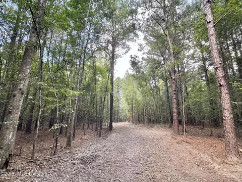 3 Clara Foote Rd, Braxton, MS 39044 photo 5