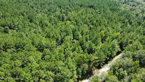 3 Clara Foote Rd, Braxton, MS 39044 photo 22