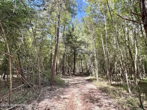 4 Clara Foote Rd, Braxton, MS 39044 photo 20