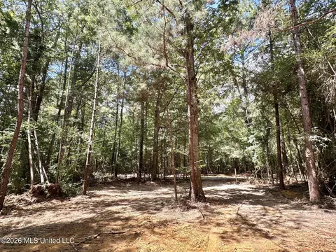4 Clara Foote Rd, Braxton, MS 39044 photo 11