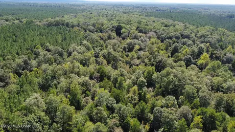 4 Clara Foote Rd, Braxton, MS 39044 photo 31