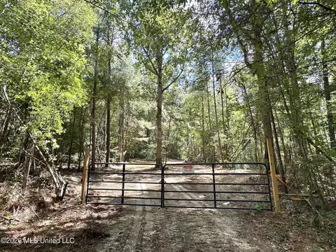 4 Clara Foote Rd, Braxton, MS 39044 photo 12