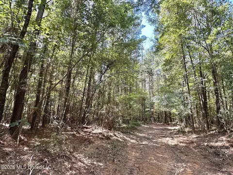 4 Clara Foote Rd, Braxton, MS 39044 photo 10