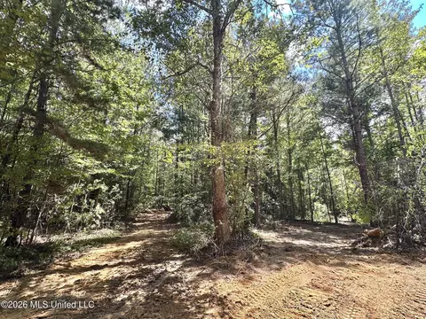4 Clara Foote Rd, Braxton, MS 39044 photo 14