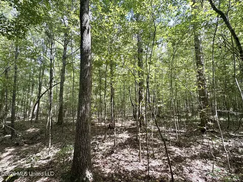 4 Clara Foote Rd, Braxton, MS 39044 photo 3