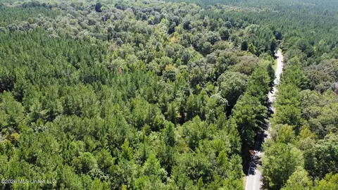4 Clara Foote Rd, Braxton, MS 39044 photo 28