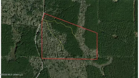 4 Clara Foote Rd, Braxton, MS 39044 photo 32