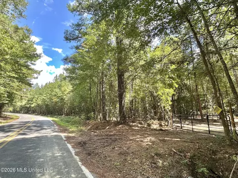 4 Clara Foote Rd, Braxton, MS 39044 photo 13