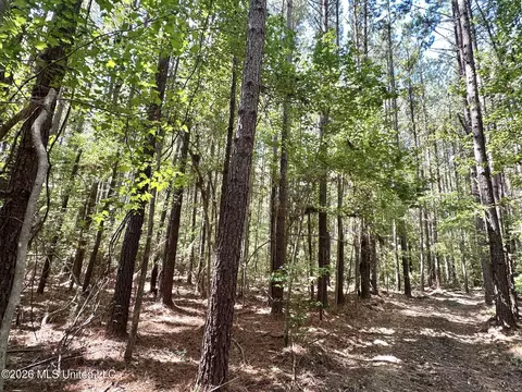 4 Clara Foote Rd, Braxton, MS 39044 photo 9