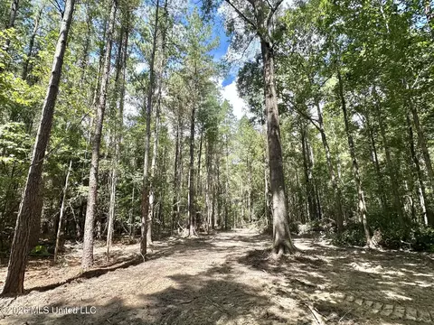 4 Clara Foote Rd, Braxton, MS 39044 photo 8
