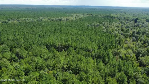 4 Clara Foote Rd, Braxton, MS 39044 photo 29