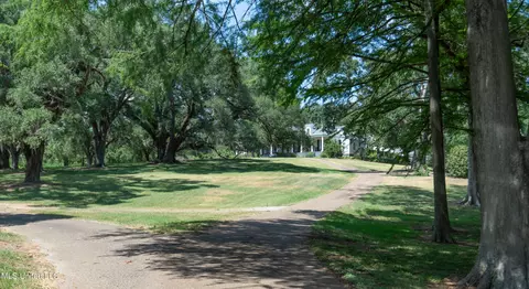 Exterior - 131 Winchester Rd, Natchez, MS 39120 photo 8 of 13