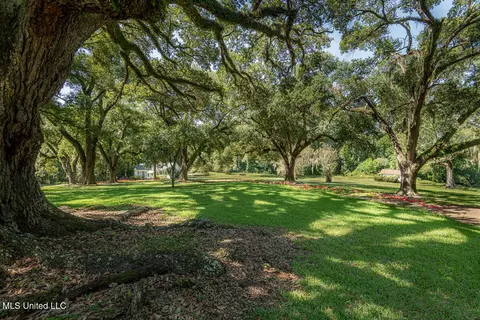 Exterior - 131 Winchester Rd, Natchez, MS 39120 photo 4 of 13