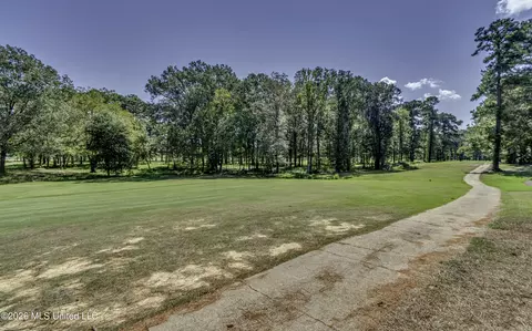 Other - 150 Pine Ridge Cir, Brandon, MS 39047 photo 14 of 14