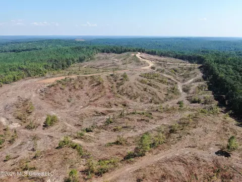 350 Baumann Rd, Hickory Flat, MS 38633 photo 20