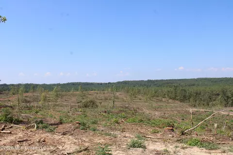 350 Baumann Rd, Hickory Flat, MS 38633 photo 8
