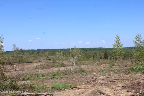 350 Baumann Rd, Hickory Flat, MS 38633 photo 11