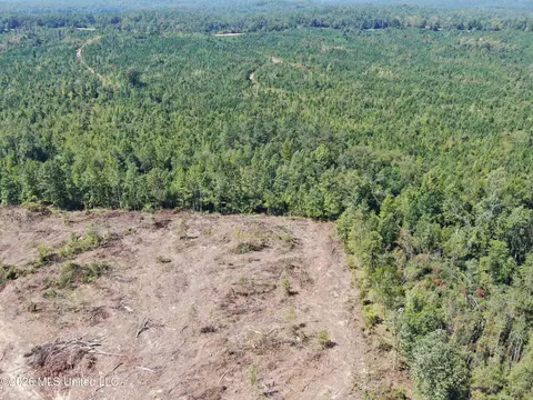 350 Baumann Rd, Hickory Flat, MS 38633 photo 17