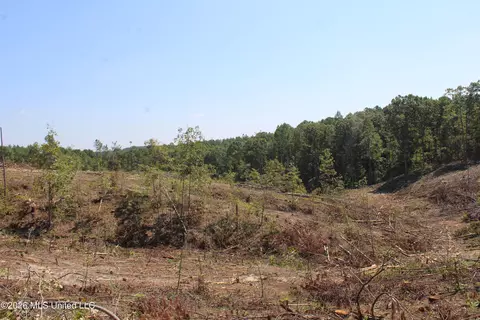 350 Baumann Rd, Hickory Flat, MS 38633 photo 14