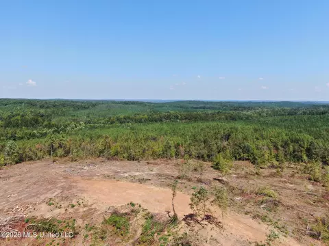 350 Baumann Rd, Hickory Flat, MS 38633 photo 21