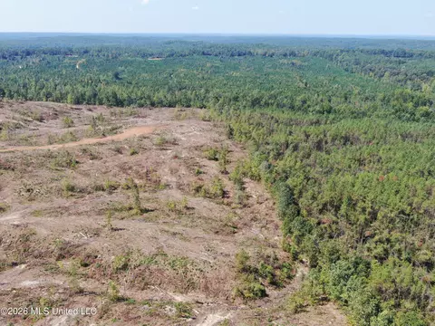 350 Baumann Rd, Hickory Flat, MS 38633 photo 15