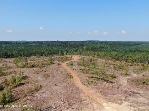 350 Baumann Rd, Hickory Flat, MS 38633 photo 22