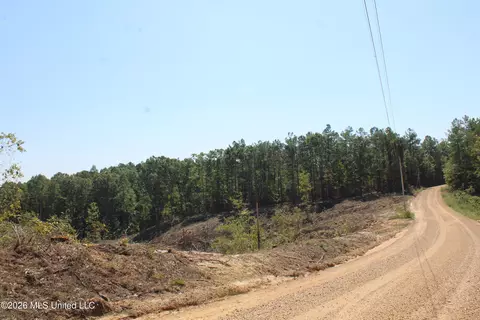 350 Baumann Rd, Hickory Flat, MS 38633 photo 7