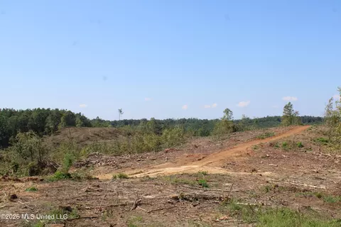 350 Baumann Rd, Hickory Flat, MS 38633 photo 12