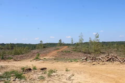 350 Baumann Rd, Hickory Flat, MS 38633 photo 10