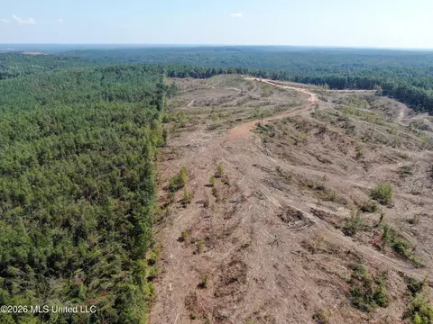 350 Baumann Rd, Hickory Flat, MS 38633 photo 18