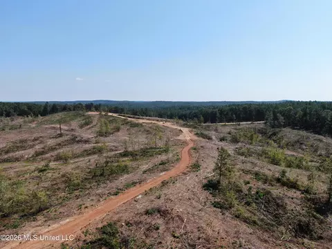 350 Baumann Rd, Hickory Flat, MS 38633 photo 3