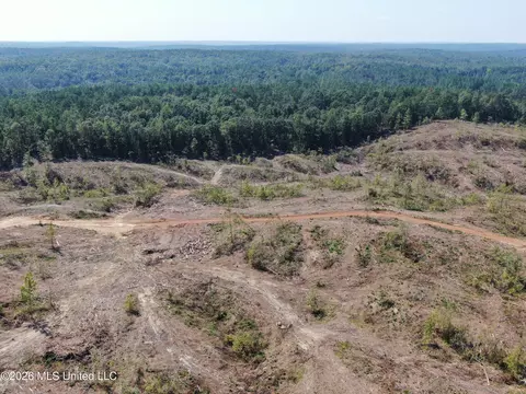 350 Baumann Rd, Hickory Flat, MS 38633 photo 5