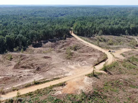350 Baumann Rd, Hickory Flat, MS 38633 photo 4