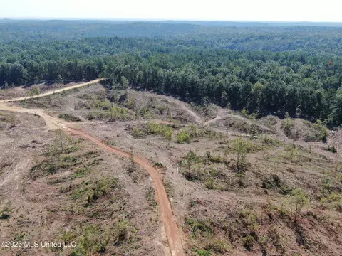 350 Baumann Rd, Hickory Flat, MS 38633 photo 16