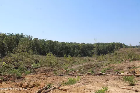 350 Baumann Rd, Hickory Flat, MS 38633 photo 9