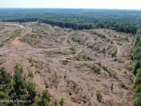 350 Baumann Rd, Hickory Flat, MS 38633 photo 6