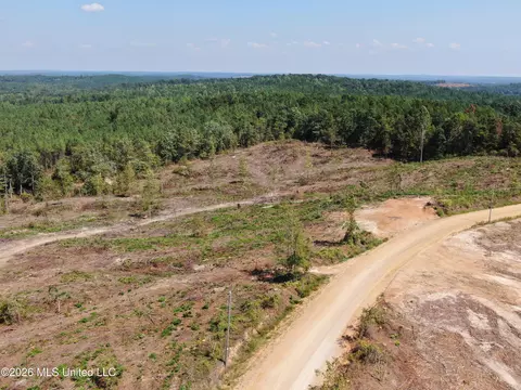 350 Baumann Rd, Hickory Flat, MS 38633 photo 2