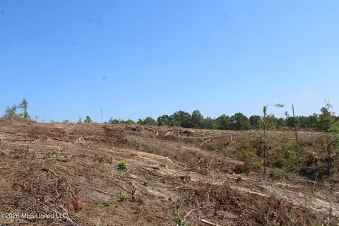 350 Baumann Rd, Hickory Flat, MS 38633 photo 13