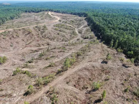 350 Baumann Rd, Hickory Flat, MS 38633 photo 19
